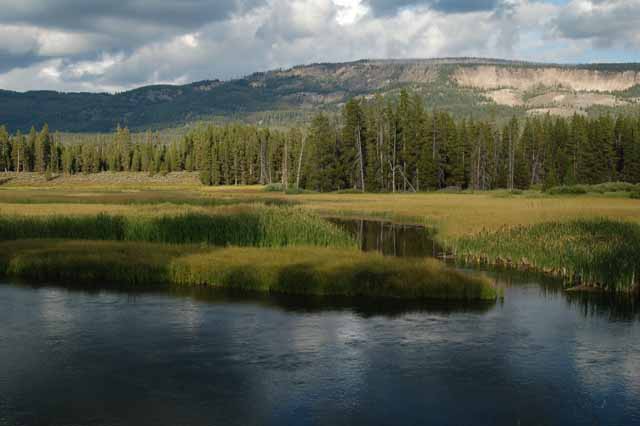 Polecat Creek
